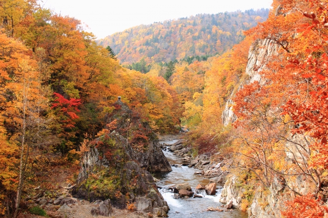 カップルにおすすめ！紅葉スポット【定山渓】