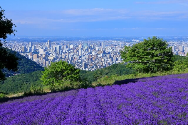 3.日本で唯一の夜景専用パーキング「幌見峠」